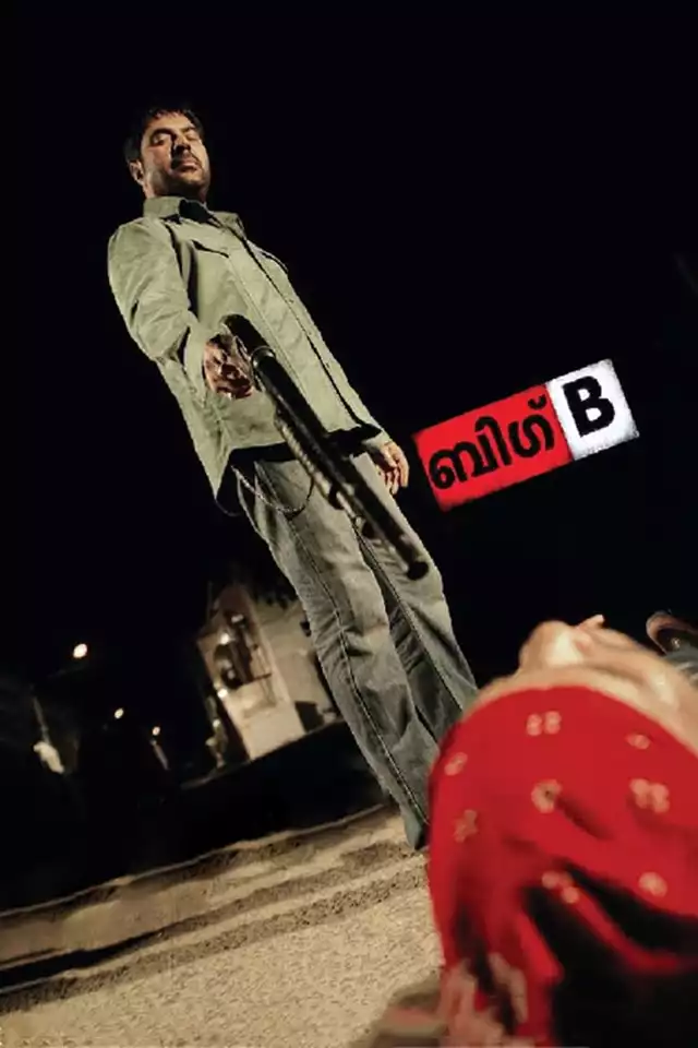 movie vertical poster fallback