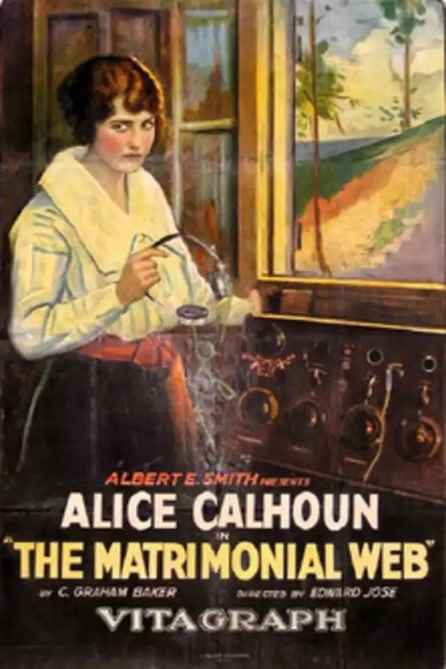 movie vertical poster fallback