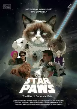 Star Paws: The Rise of Superstar Pets