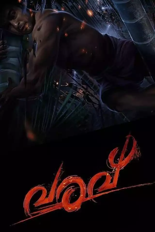 movie vertical poster fallback