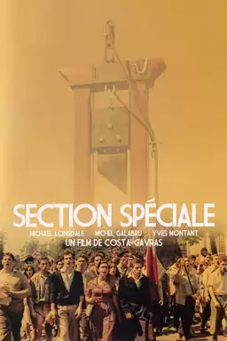 Special Section