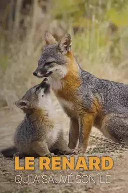 Le renard qui a sauvé son île
