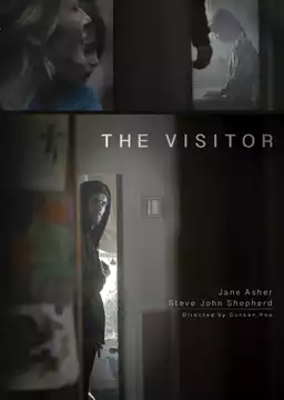 The Visitor