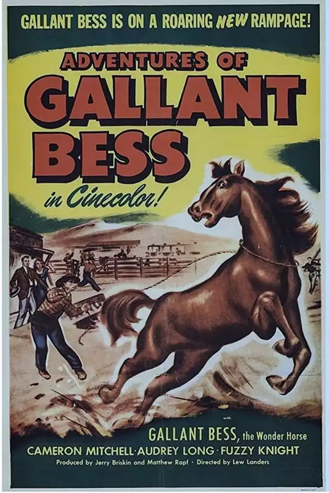 movie vertical poster fallback