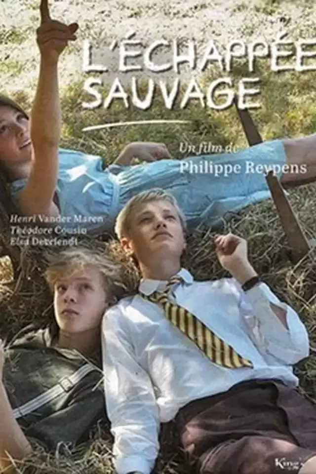 movie vertical poster fallback