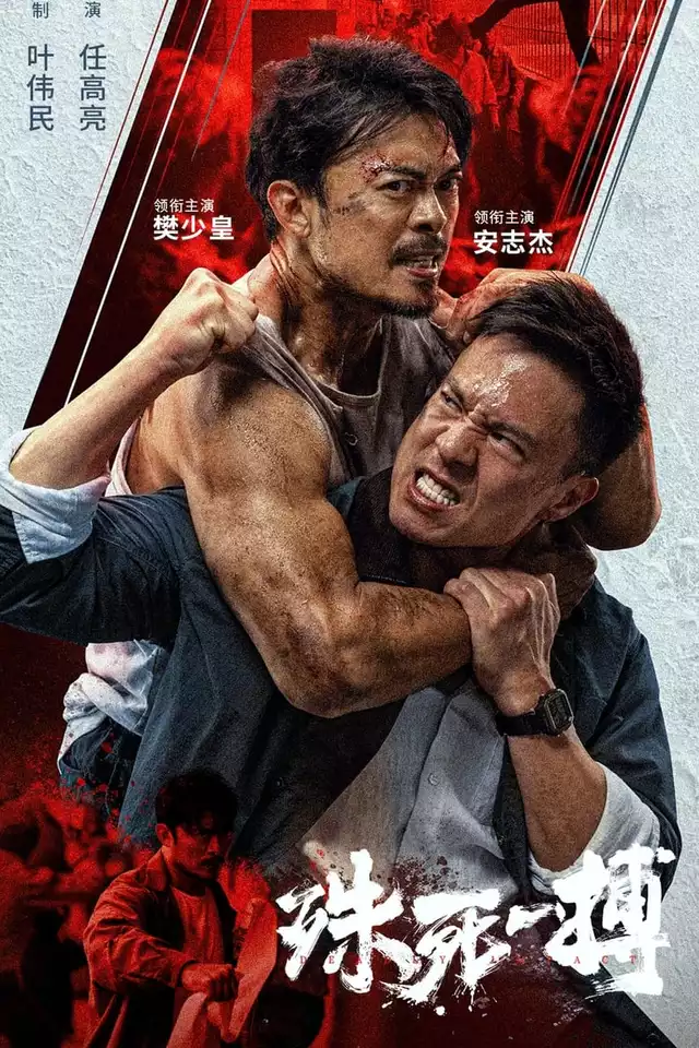 movie vertical poster fallback