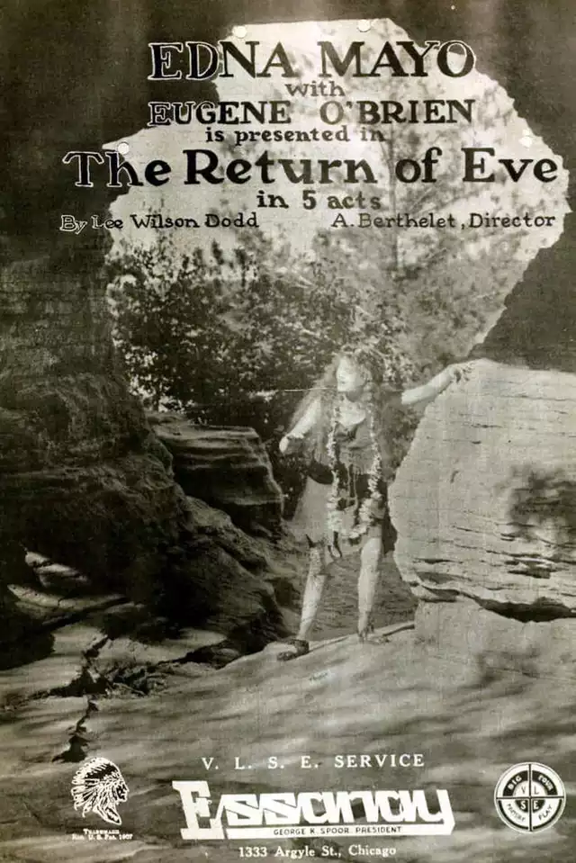 movie vertical poster fallback