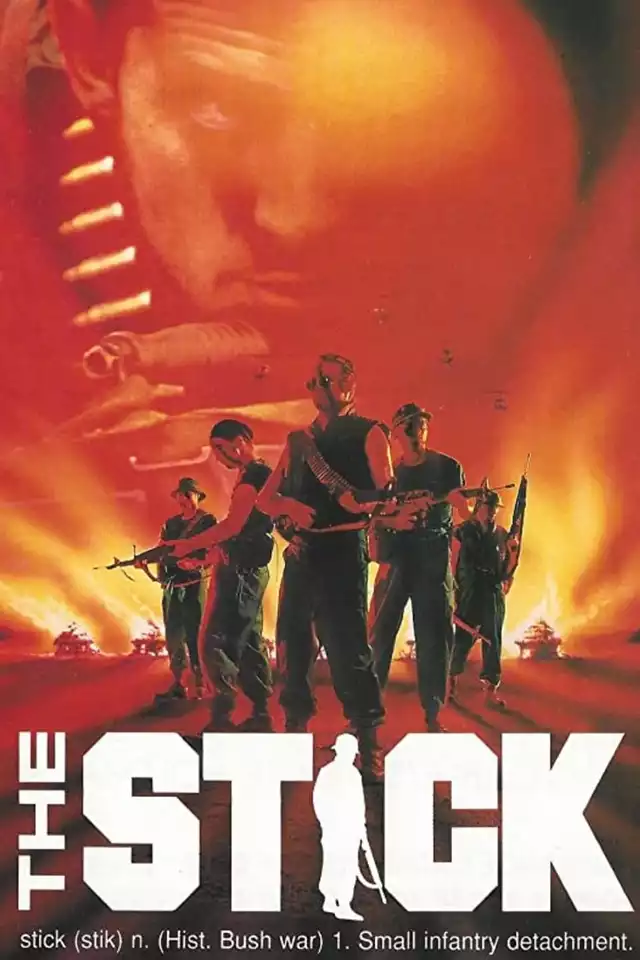 movie vertical poster fallback