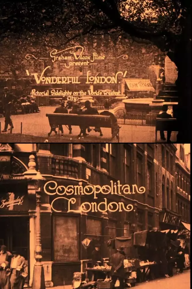 movie vertical poster fallback