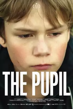 The Pupil