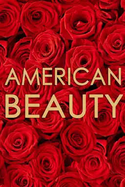 American Beauty