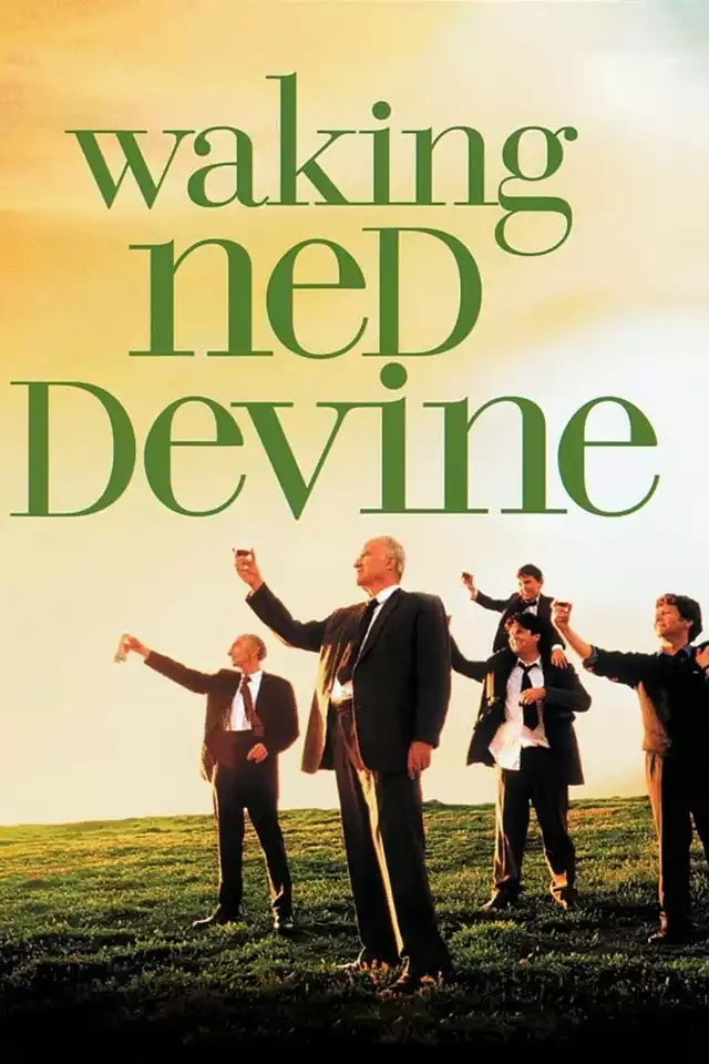 movie vertical poster fallback