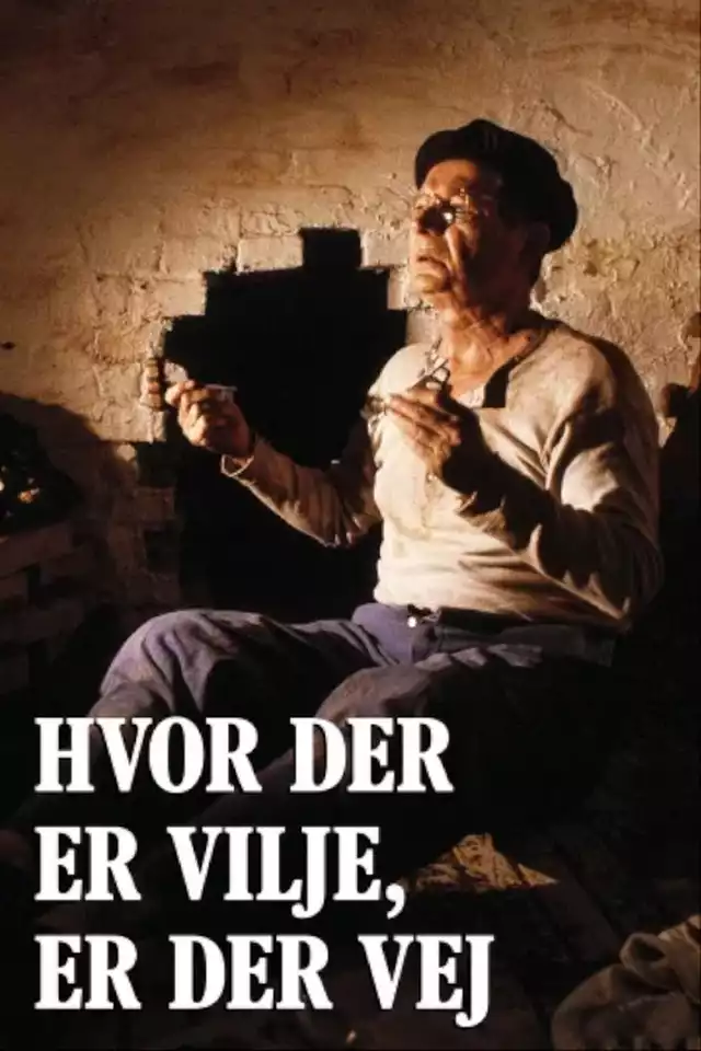 movie vertical poster fallback