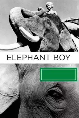 Elephant Boy