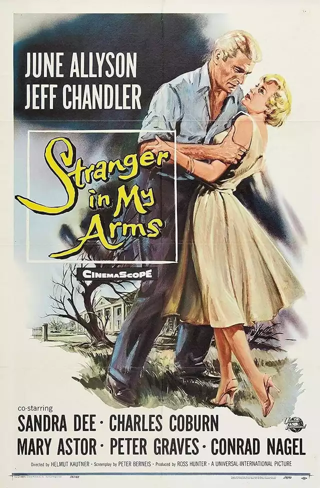 movie vertical poster fallback
