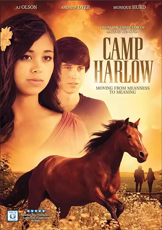 movie vertical poster fallback