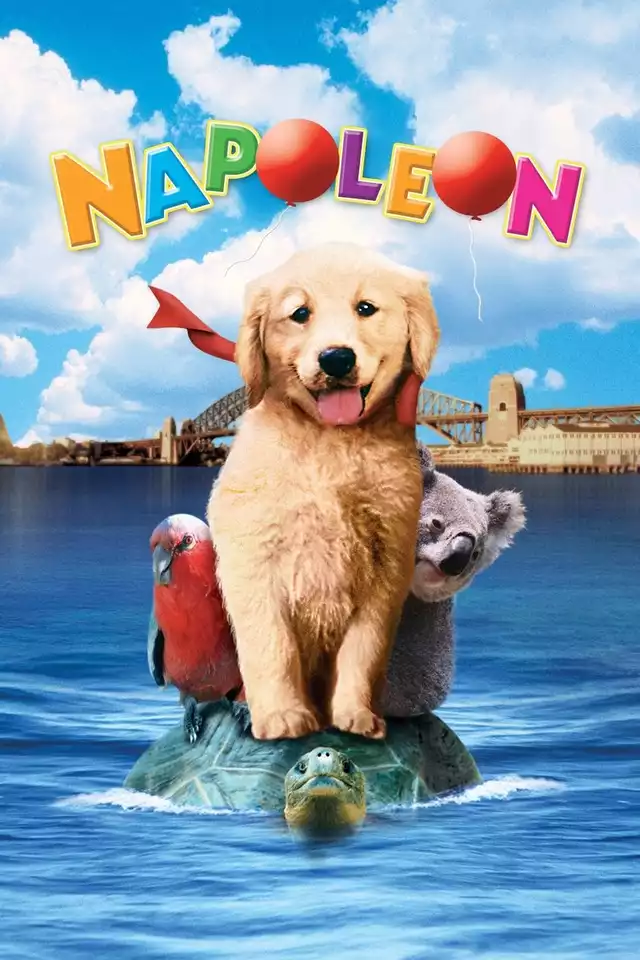 movie vertical poster fallback