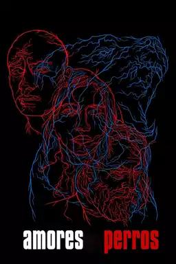 Amores Perros