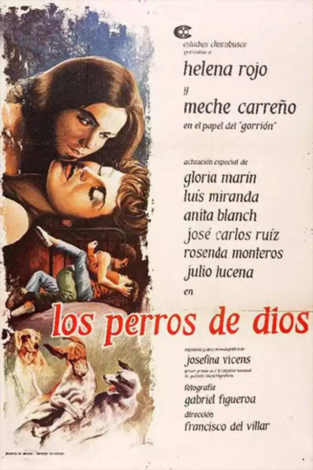 movie vertical poster fallback