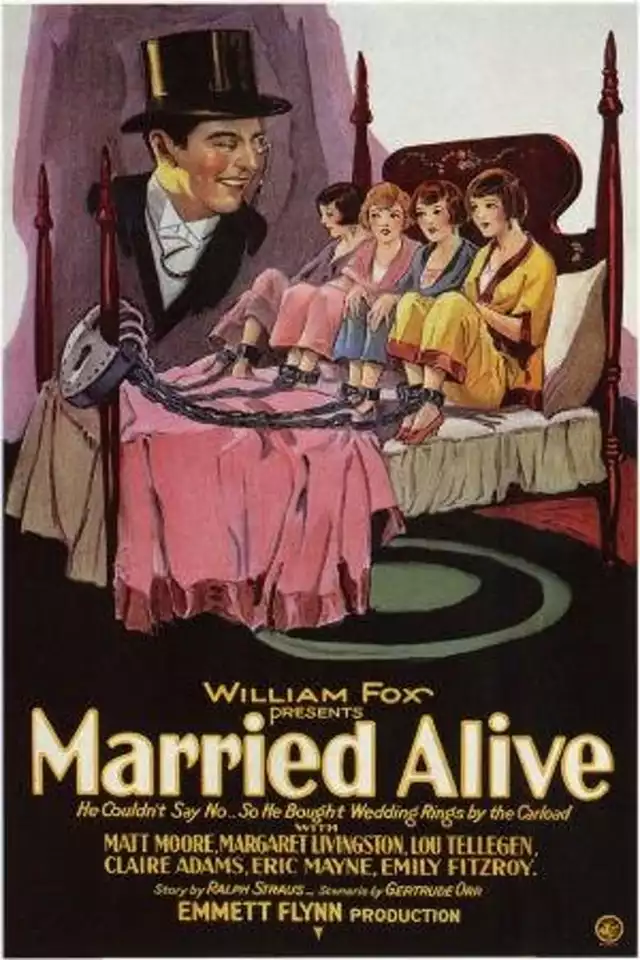 movie vertical poster fallback