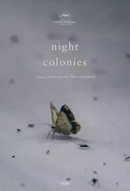 Night Colonies