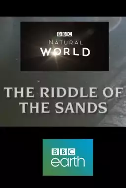 The Riddle of the Sands