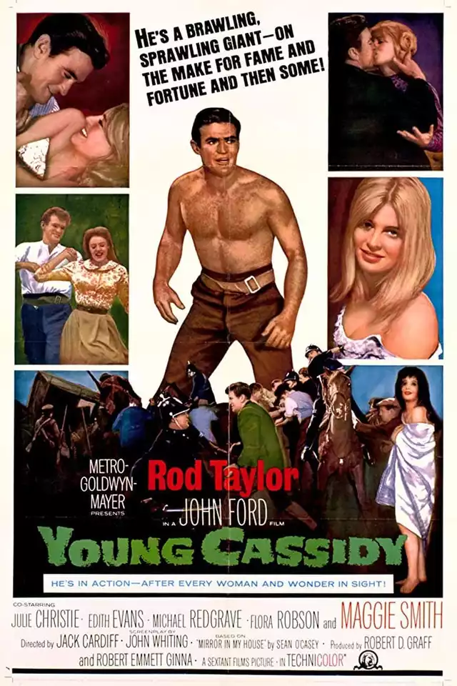 movie vertical poster fallback