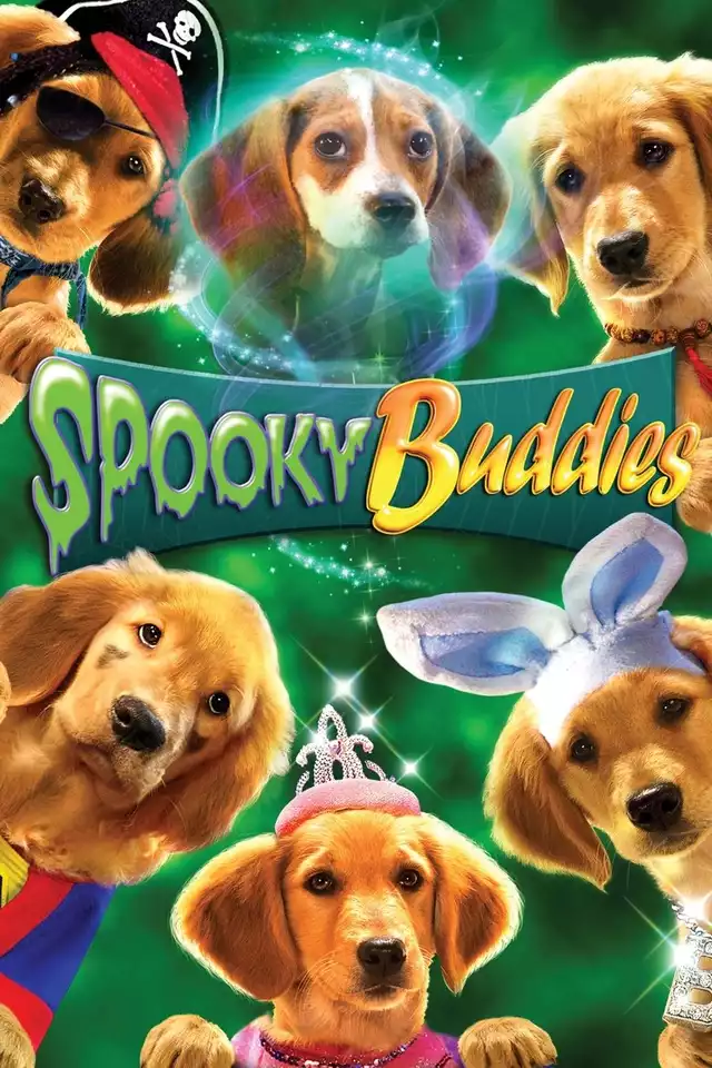 movie vertical poster fallback