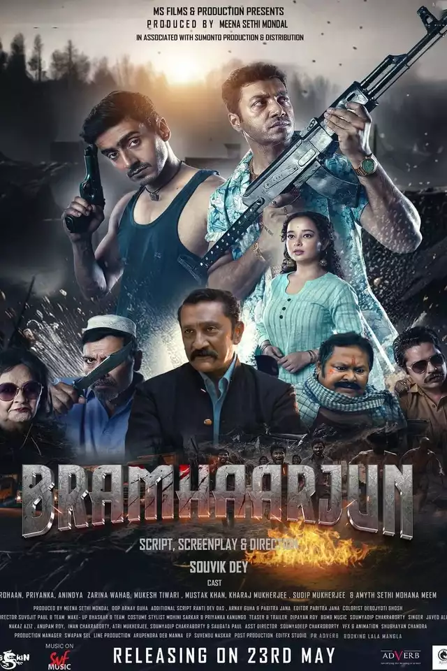 movie vertical poster fallback