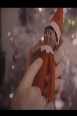 Elf Off the Shelf