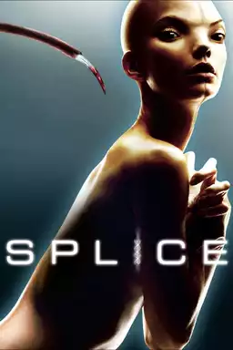 Splice