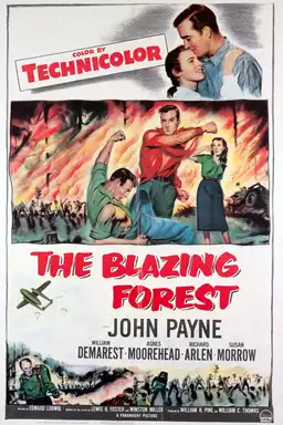 The Blazing Forest