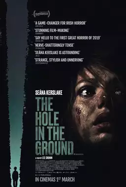 The Hole in the Ground