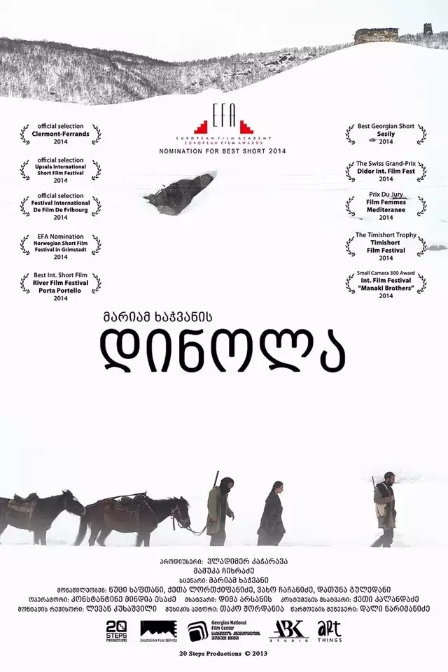 movie vertical poster fallback