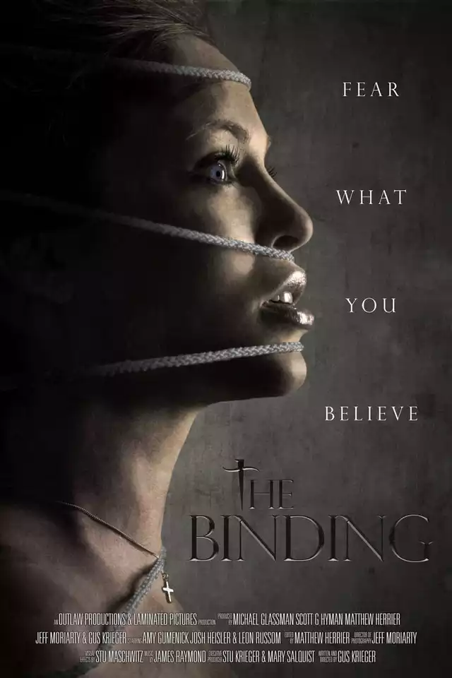 movie vertical poster fallback