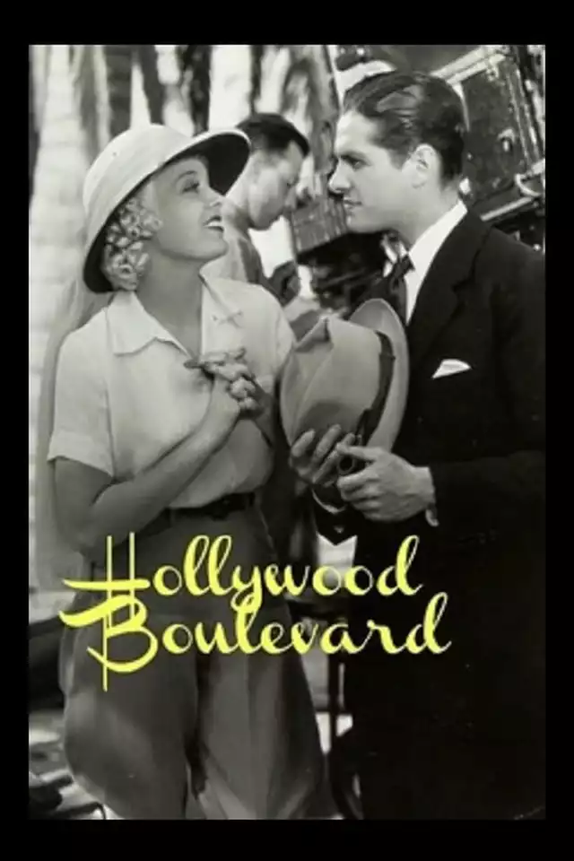 movie vertical poster fallback