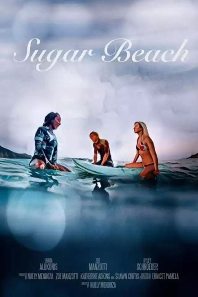 movie vertical poster fallback