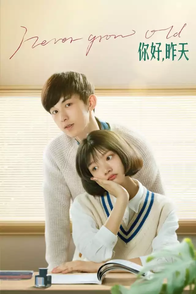 movie vertical poster fallback