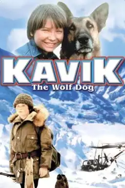 Kavik the Wolf Dog