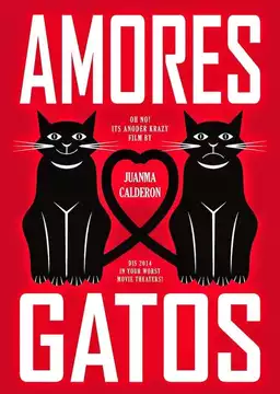 Amores Gatos