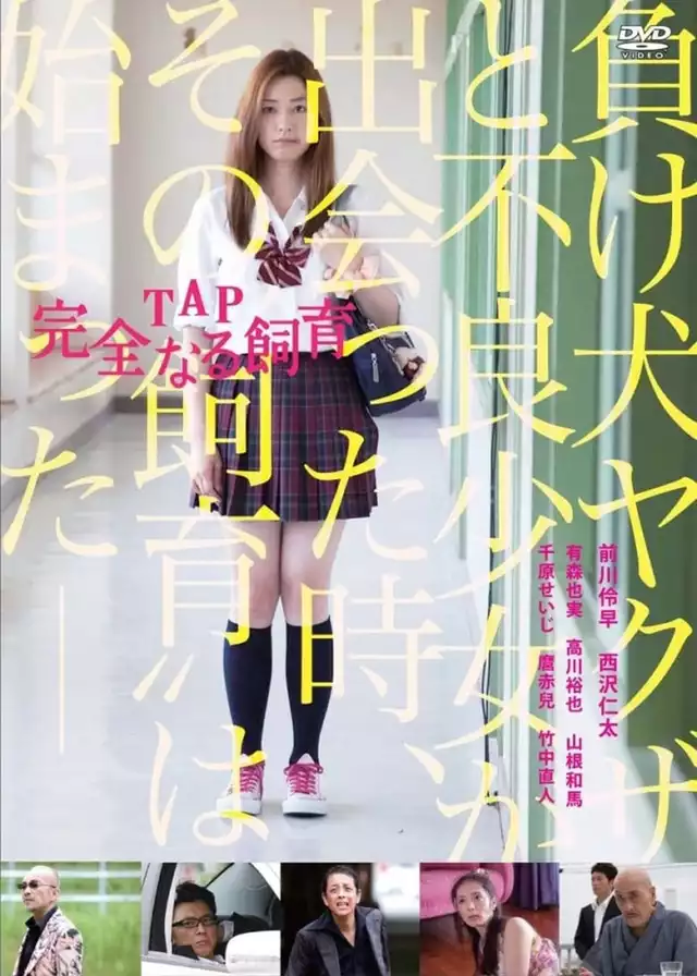 movie vertical poster fallback