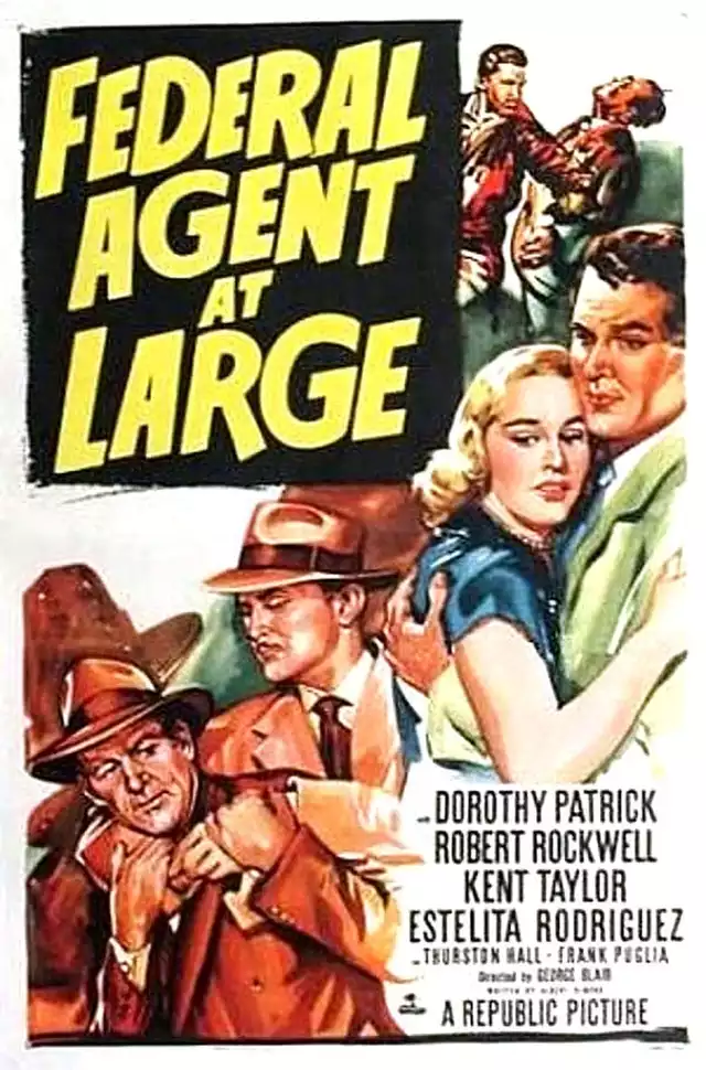 movie vertical poster fallback
