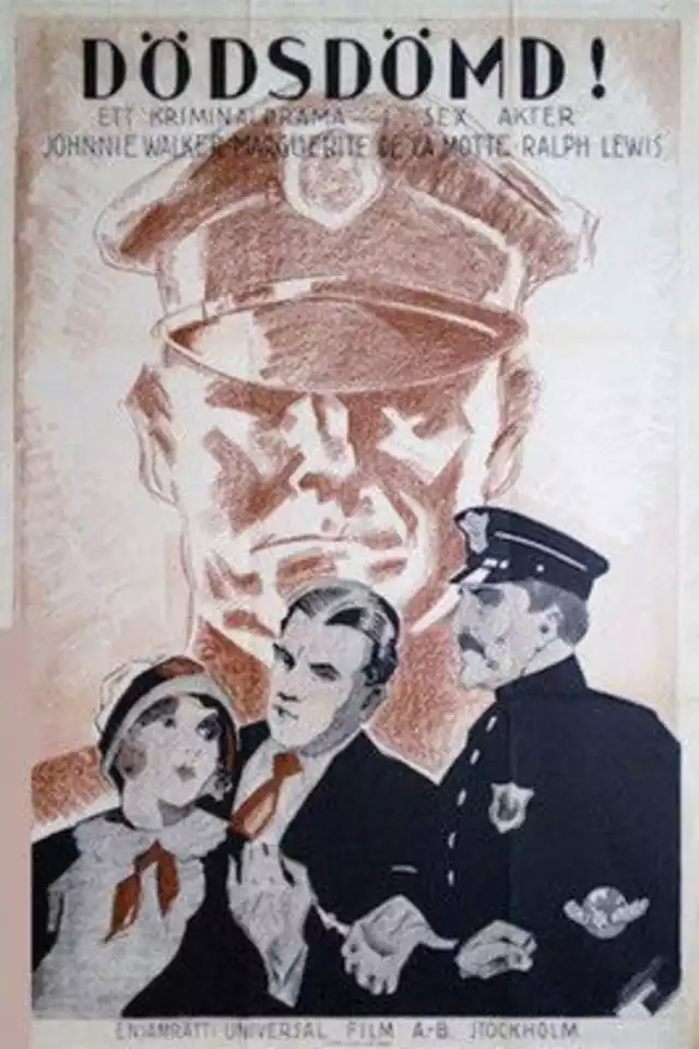 movie vertical poster fallback