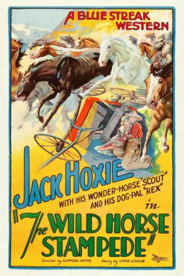 movie vertical poster fallback