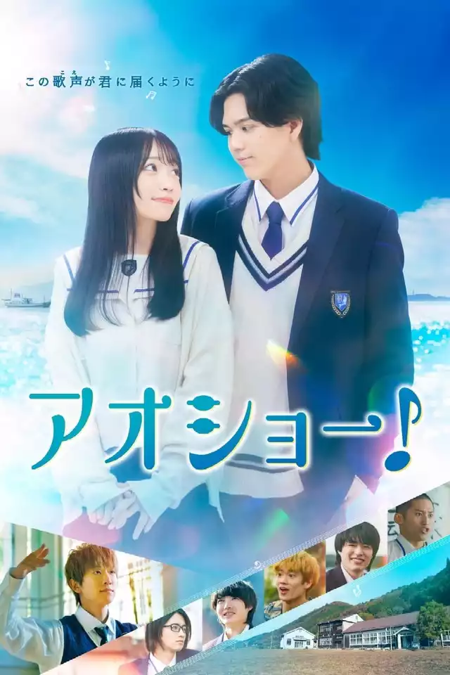 movie vertical poster fallback