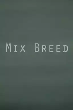 Mix Breed