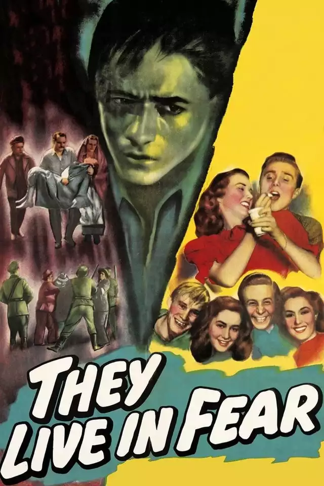 movie vertical poster fallback