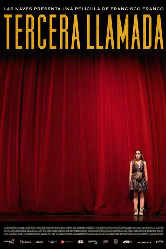 movie vertical poster fallback