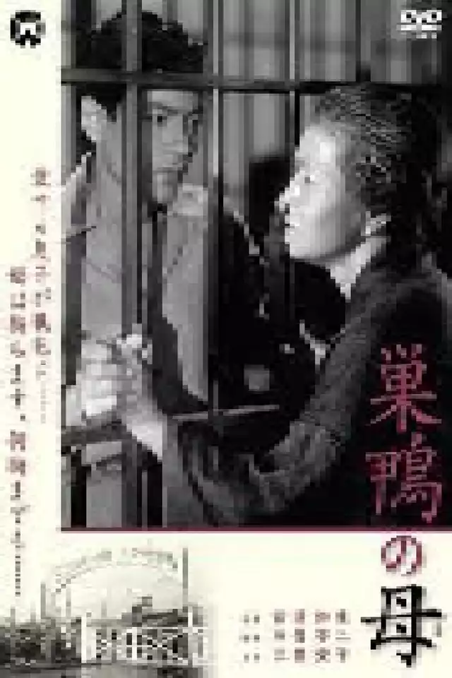 movie vertical poster fallback
