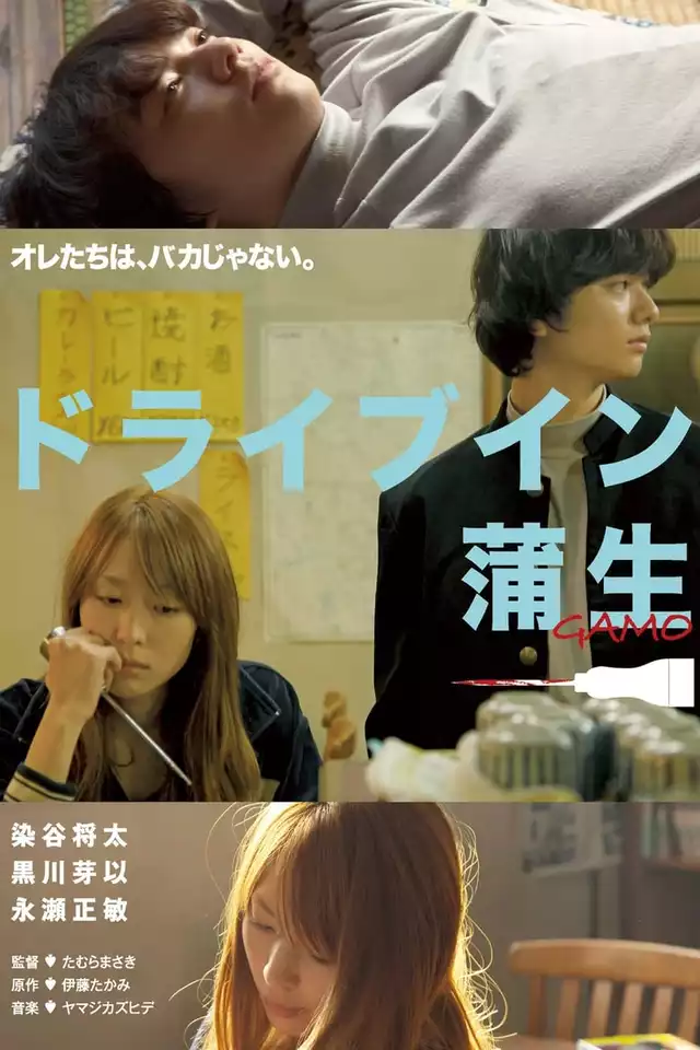 movie vertical poster fallback